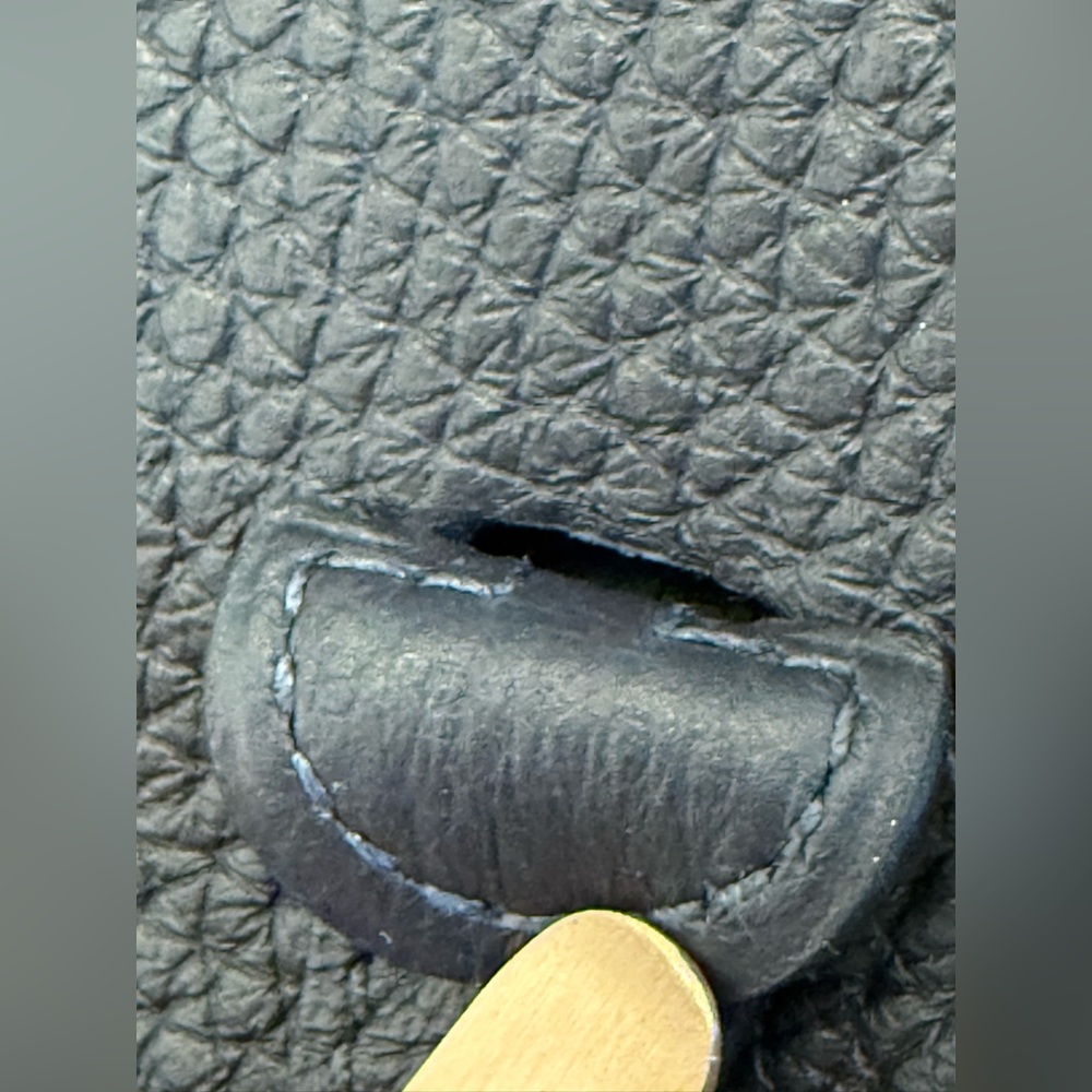Hermès Evelyne TPM Taurillon Clemence Crossbody Bag -Caban - Picture 9 of 11
